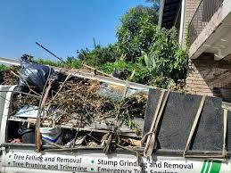 Best Basement Cleanout  in New Haven, CT